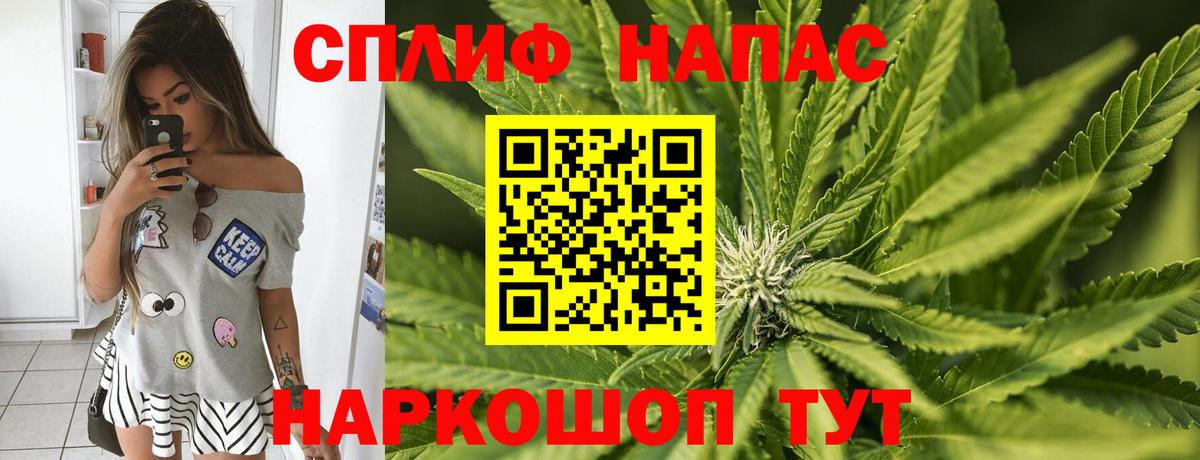 Конопля гибрид Узловая